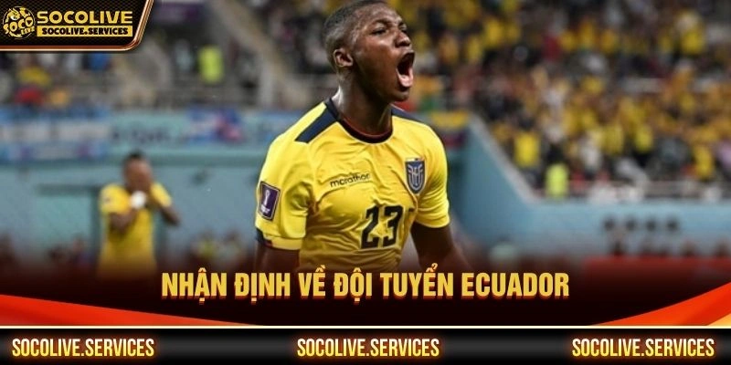 Nhận định về đội tuyển Ecuador